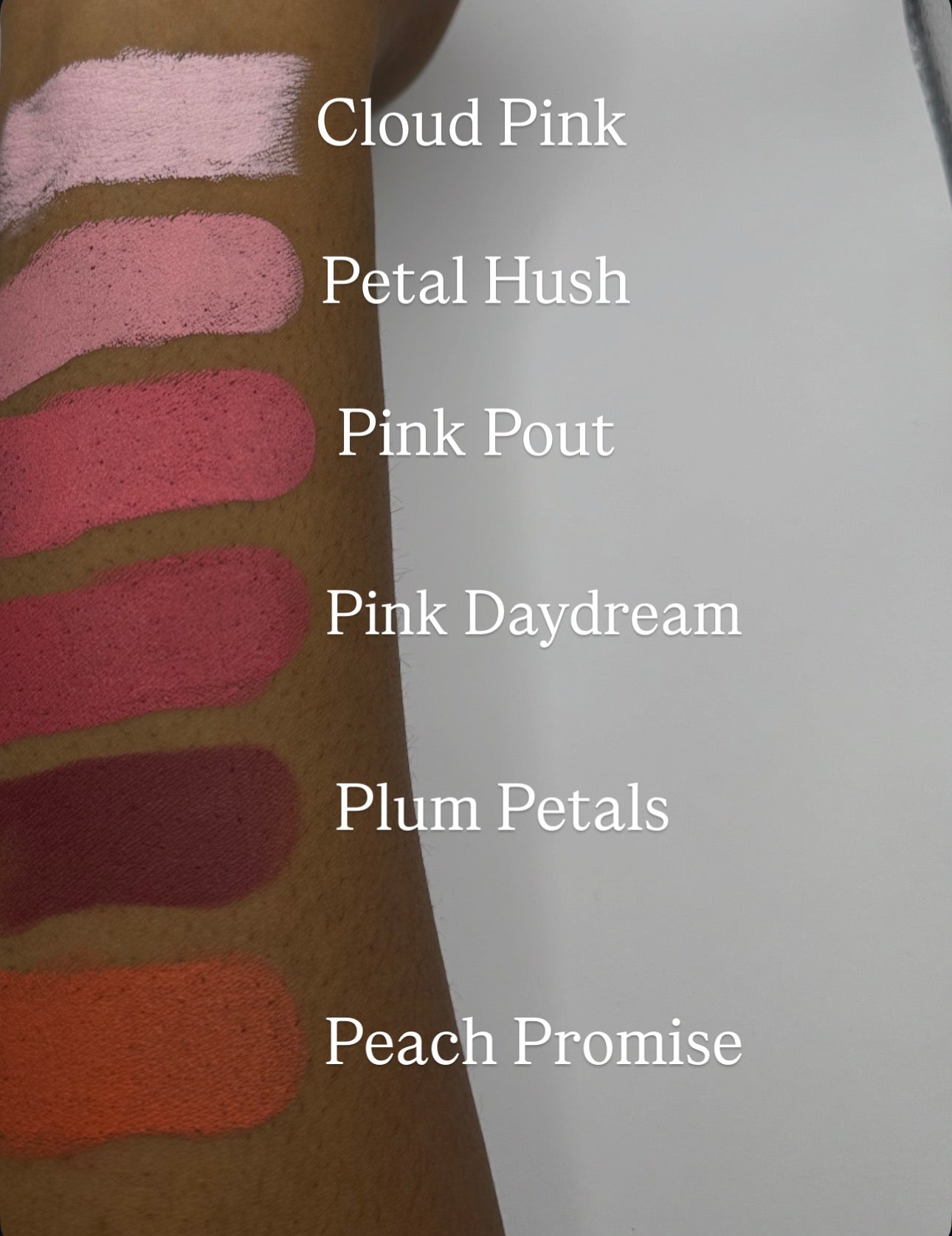 Cloud Pink Blush Stick